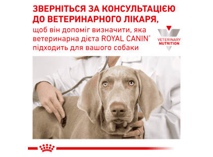 Фото 6 -  ветеринарные корма Royal Canin HYPOALLERGENIC лечебный влажный корм для собак при пищевой аллергии
