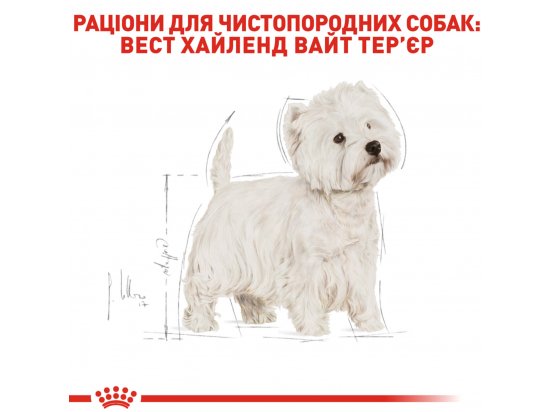 Фото - сухий корм Royal Canin WESTIE HIGHLAND WHITE TERRIER ADULT (ВЕСТ ХАЙЛЕНД ВАЙТ ТЕР'ЄР ЕДАЛТ) корм для собак від 10 місяців