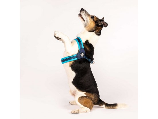 Фото 4 -  амуніція Max & Molly Urban Pets Q-Fit Harness шлея для собаки Matrix Sky Blue