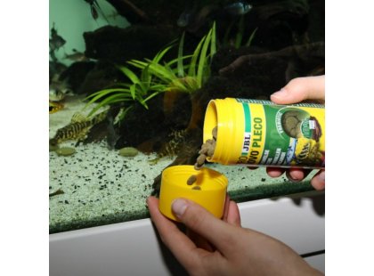 Фото 4 -  корм для рыб JBL ProNovo Pleco корм для сомов-присосок, таблетки