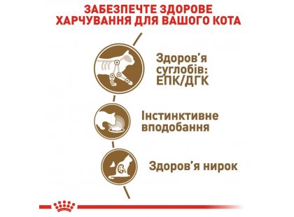 Фото 2 -  влажный корм (консервы) Royal Canin AGEING 12+ влажный корм для пожилых кошек старше 12 лет