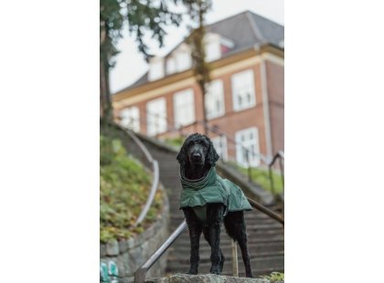 Фото 6 -  одежда Trixie Explore Thermo зимняя попона для собак, оливковый