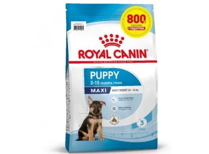 Фото - Royal Canin MAXI PUPPY корм для цуценят великих порід від 2 до 15 місяців сухий корм Royal Canin MAXI PUPPY корм для цуценят великих порід від 2 до 15 місяців