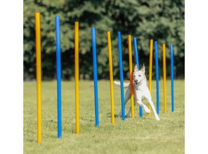 Фото 3 -  дрессировка и спорт Trixie Slalom (Трикси Слалом) - палки для тренировки ловкости собак (3206)