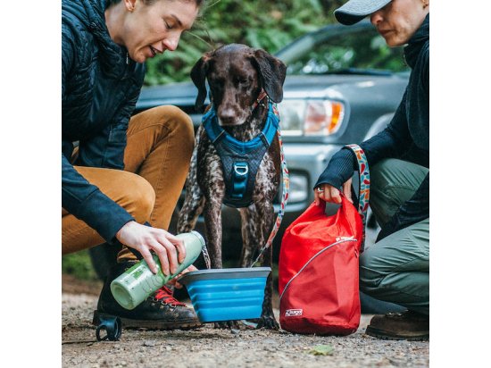 Фото - миски, напувалки, фонтани Kurgo Mash&Stash Collapsible Dog Bowl миска складана дорожня з карабіном для собак, синій