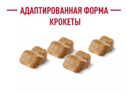 Фото 7 -  сухой корм Royal Canin BULLDOG PUPPY (БУЛЬДОГ ПАППИ) корм для щенков до 12 месяцев