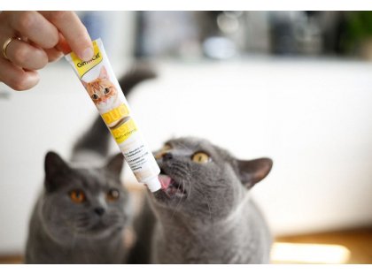 Фото 4 -  витамины и минералы Gimcat (Джимкет) MULTI-VITAMIN DUO PASTE (12 ВИТАМИНОВ И СЫР ПАСТА) лакомство  для кошек