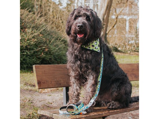 Фото - одежда Max & Molly Urban Pets Bandana бандана на ошейник для собак Black Sheep