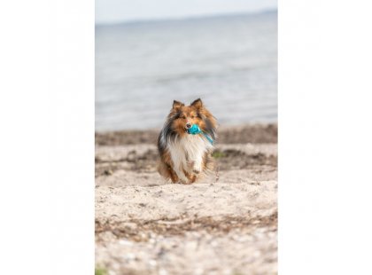 Фото 3 -  іграшки Trixie Honeycomb Ball on Rope іграшка для собак М'ЯЧ НА МОТУЗЦІ (33545)