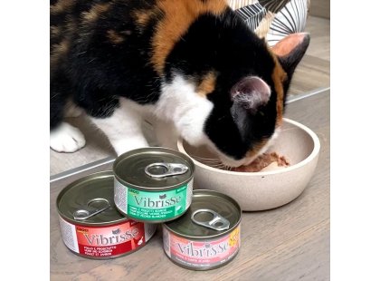 Фото 3 -  влажный корм (консервы) Vibrisse Jelly ТУНЕЦ И КРЕВЕТКИ В ЖЕЛЕ консервы для кошек