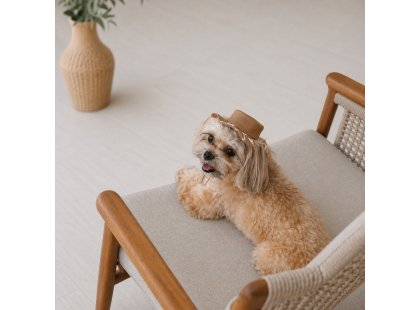 Фото 5 -  одяг Pet Fashion Print панама для собак