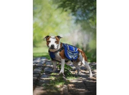 Фото 6 -  амуниция Voyager Pet Lovoyager Dog Bagpack сумка-седло для собак, синий