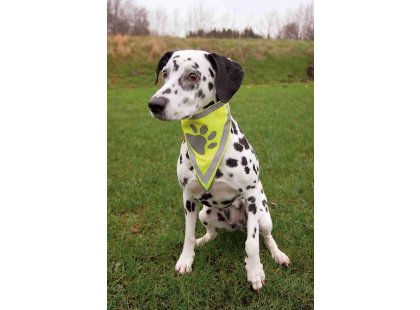 Фото 2 -  одежда Trixie Светоотражающая бандана для собак