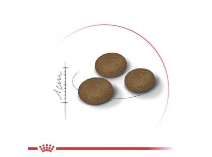 Фото 2 -  сухий корм Royal Canin Fussy Exigent сухий корм для вибагливих котів