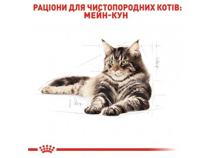 Фото - сухой корм Royal Canin MAINE COON (МЕЙН-КУН) корм для кошек от 1 года