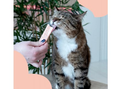 Фото 6 -  лакомства Mavsy Creamy Treats лакомство в виде крема для кошек КРЕВЕТКА И ЛОСОСЬ