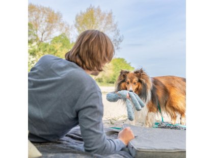 Фото 3 -  іграшки Trixie Dino іграшка для собак ДИНОЗАВР (36127)