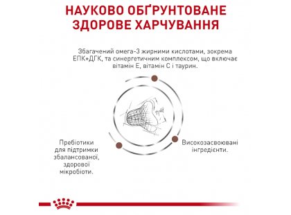 Фото 4 -  ветеринарные корма Royal Canin GASTROINTESTINAL FIBRE RESPONSE сухой лечебный корм для кошек от 1 года