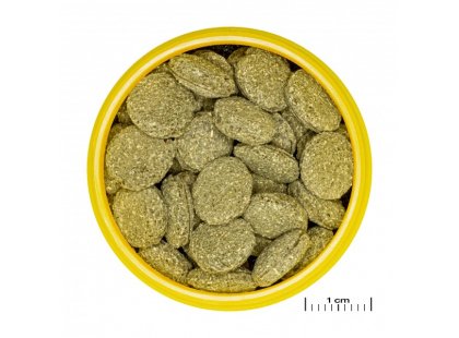 Фото 2 -  корм для рыб JBL ProNovo Pleco корм для сомов-присосок, таблетки