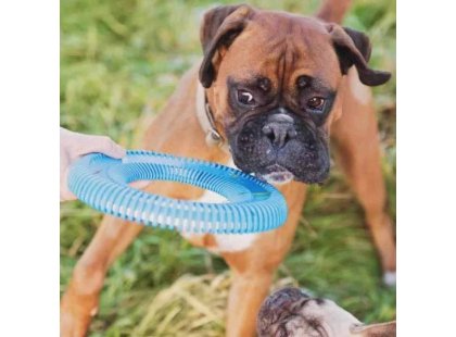 Фото 4 -  игрушки CHUCKIT Rugged Flyer игрушка для собак ЛЕТАЮЩЕЕ КОЛЬЦО, синий