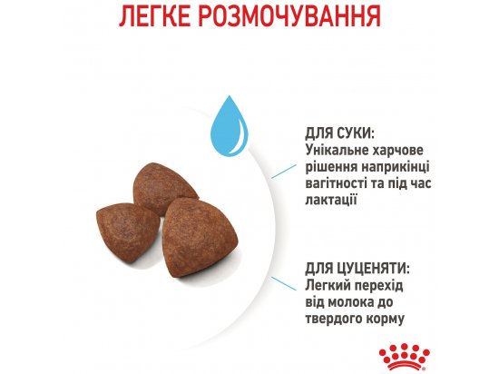 Фото - сухой корм Royal Canin MEDIUM STARTER MOTHER & BABYDOG корм для беременных и кормящих сук и щенков средних пород