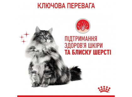 Фото - вологий корм (консерви) Royal Canin HAIR & SKIN Care in JELLY корм для котів