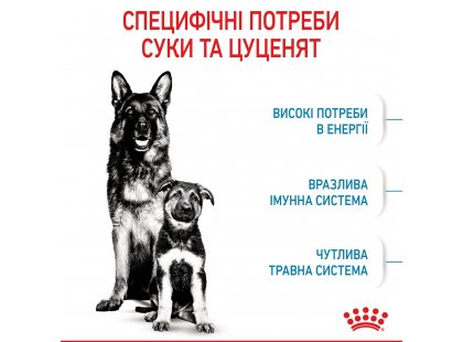 Фото - сухой корм Royal Canin MAXI STARTER MOTHER & BABYDOG корм для беременных и кормящих сук и щенков крупных-пород