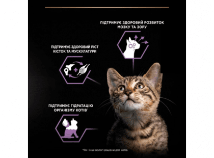 Фото 8 -  влажный корм (консервы) Purina Pro Plan (Пурина Про План) Kitten Healthy Start Turkey влажный корм для котят, кусочки в подливе ИНДЕЙКА