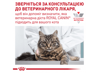 Фото 9 -  ветеринарні корми Royal Canin MOBILITY MC28 (МОБІЛІТІ) сухий лікувальний корм для котів від 1 року