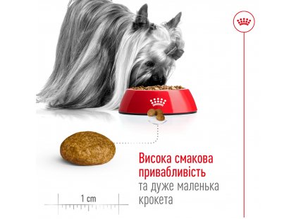 Фото 3 -  сухий корм Royal Canin X-SMALL ADULT 8+ (СОБАКИ ДРІБНИХ ПОРІД ЕДАЛТ 8+) корм для собак від 8 років