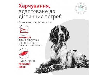 Фото 3 -  ветеринарные корма Royal Canin Glycobalance сухой лечебный корм для собак при сахарном диабете