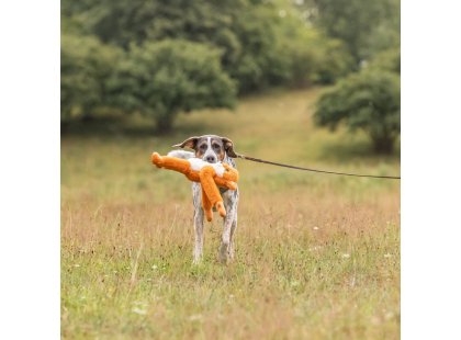 Фото 3 -  іграшки Trixie Fox іграшка для собак ЛИСИЦЯ (361013)