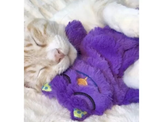 Фото 3 -  игрушки Petstages PURR PILLOW игрушка - подушка антиcтресс для кошек КОТ