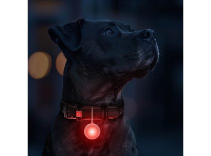 Фото 5 -  амуниция Collar WAUDOG фонарик на ошейник для собак и кошек