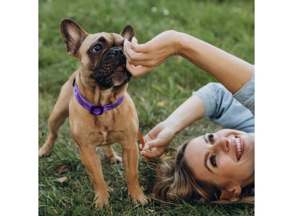 Фото 3 -  повсякденна косметика Hydra Retail Forever Warm Cologne парфуми для собак і котів ВИШУКАНИЙ АРОМАТ