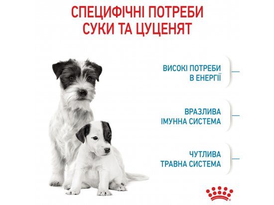 Фото - сухой корм Royal Canin MINI STARTER MOTHER & BABYDOG корм для беременных и кормящих сук и щенков мини-пород