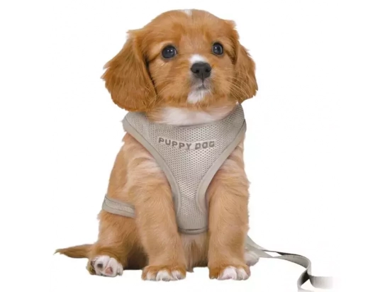 Фото 6 -  Категории Trixie Junior Puppy Soft Harness with Lead шлейка с поводком для щенков, светло-серый