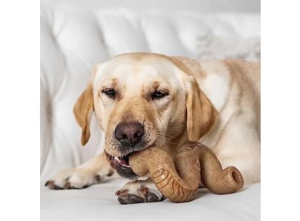 Фото 4 -  іграшки Benebone Tripe Bone Beef жувальна іграшка для собак ЧЕРЕВО, смак ЯЛОВИЧОГО РУБЦЯ