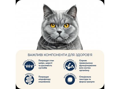 Фото 5 -  сухой корм Home Food (Хоум Фуд) Cat Adult Turkey & Duck корм для кошек британских и шотландских пород ИНДЕЙКА и УТКА
