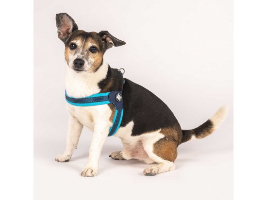 Фото 5 -  амуніція Max & Molly Urban Pets Q-Fit Harness шлея для собаки Matrix Sky Blue