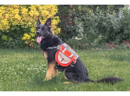 Фото 6 -  амуниция Voyager Pet Lovoyager Dog Bagpack сумка-седло для собак, красный