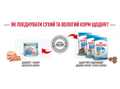 Фото 11 -  вологий корм (консерви) Royal Canin STARTER MOUSSE (СТАРТЕР МУС) вологий корм для цуценят та сук при вагітності та лактації