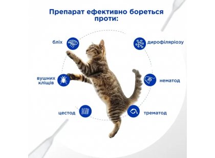 Фото 4 -  от блох и клещей Modes Selavet капли на холку от блох, клещей и гельминтов для кошек