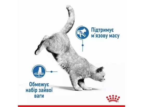 Фото - влажный корм (консервы) Royal Canin LIGHT WEIGHT Loaf влажный корм для кошек