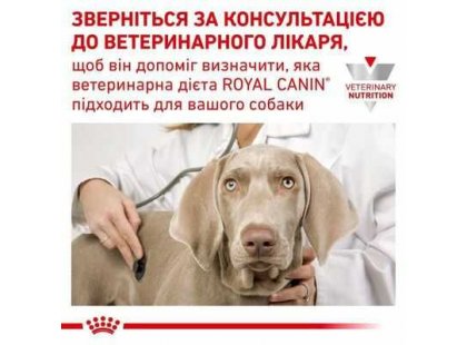 Фото - ветеринарные корма Royal Canin RENAL RF14 (РЕНАЛ) сухой лечебный корм для собак