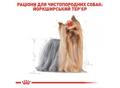 Фото - влажный корм (консервы) Royal Canin YORKSHIRE TERRIER ADULT (ЙОРКШИР ТЕРЬЕР ЭДАЛТ) влажный корм для собак старше 10 месяцев