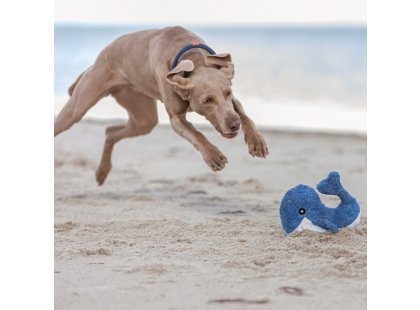 Фото 3 -  игрушки Trixie BE NORDIC КИТ BRUNOLD игрушка для собак (36040)