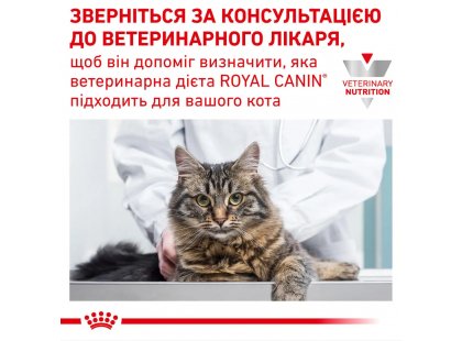 Фото - ветеринарні корми Royal Canin ANALLERGENIC сухий лікувальний корм для котів