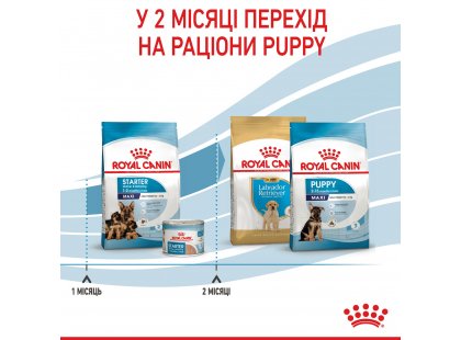 Фото - сухий корм Royal Canin MAXI STARTER MOTHER & BABYDOG корм для вагітних і годуючих сук і цуценят великих-порід