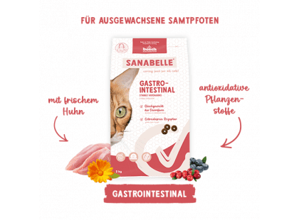 Фото 5 -  сухой корм Bosch Sanabelle Gastrointestinal сухой корм для кошек при нарушениях пищеварения